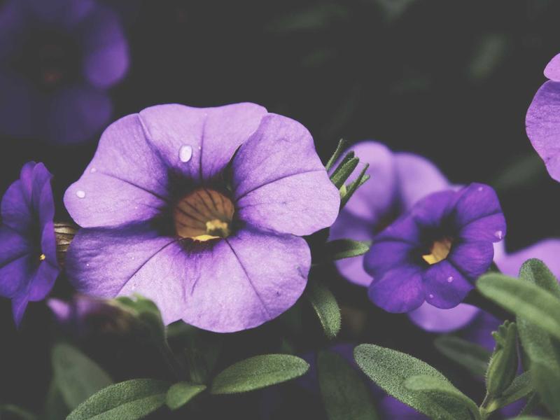 sudoku difficulty levels